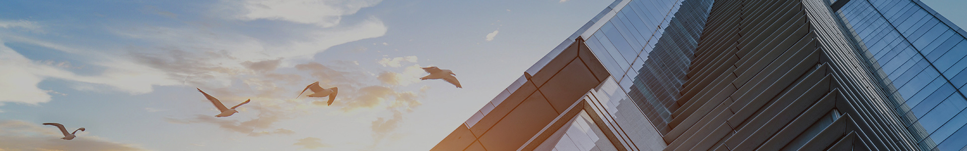 ҳbanner